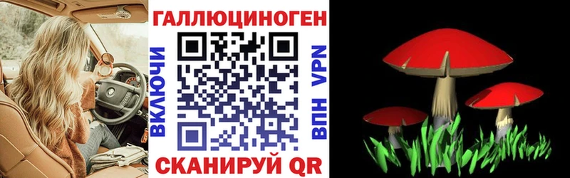 Галлюциногенные грибы ЛСД  дарк нет телеграм  Амурск  где купить наркотик  MEGA онион 